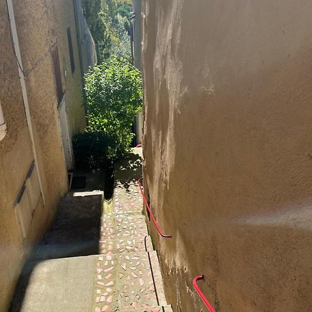 Le Tapis Vert - Loft Avec Jardin Auch Bagian luar foto