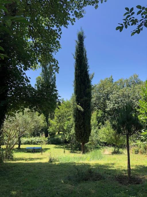 Le Tapis Vert - Loft Avec Jardin Auch Bagian luar foto
